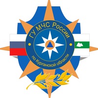 ГУ МЧС России по Курганской области